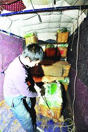 青島蔬菜市場七成外地貨 運(yùn)輸成本高菜價難降