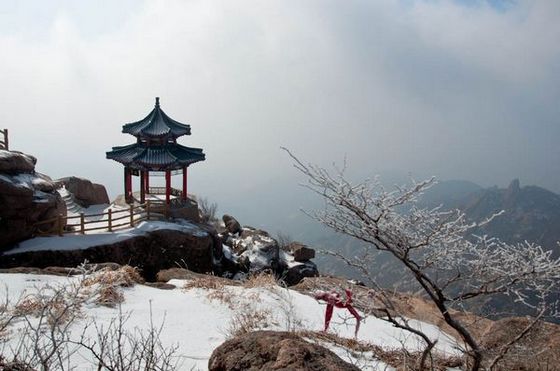 嶗山景區派發年終紅利 金牌導游獲獎轎車