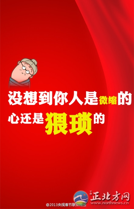 盤點2013年央視蛇年春晚流行語走紅網絡【組圖】