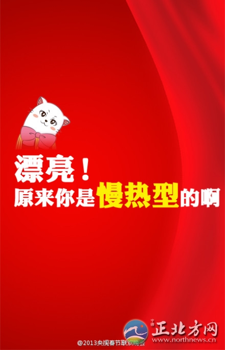 盤點2013年央視蛇年春晚流行語走紅網絡【組圖】
