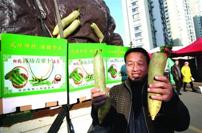 蘿卜會(huì)初九拉開(kāi)帷幕