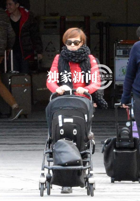 追星：孫儷染金發抱子撈金 倪萍穿皮草奢侈如貴婦