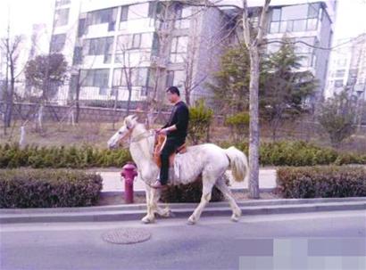 男子騎白馬閑逛銀川西路 網(wǎng)友調侃堪比唐三藏