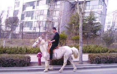 青島街頭驚現唐僧 男子騎白馬悠閑逛街