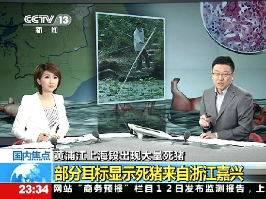 部分耳標顯示死豬來自浙江嘉興截圖