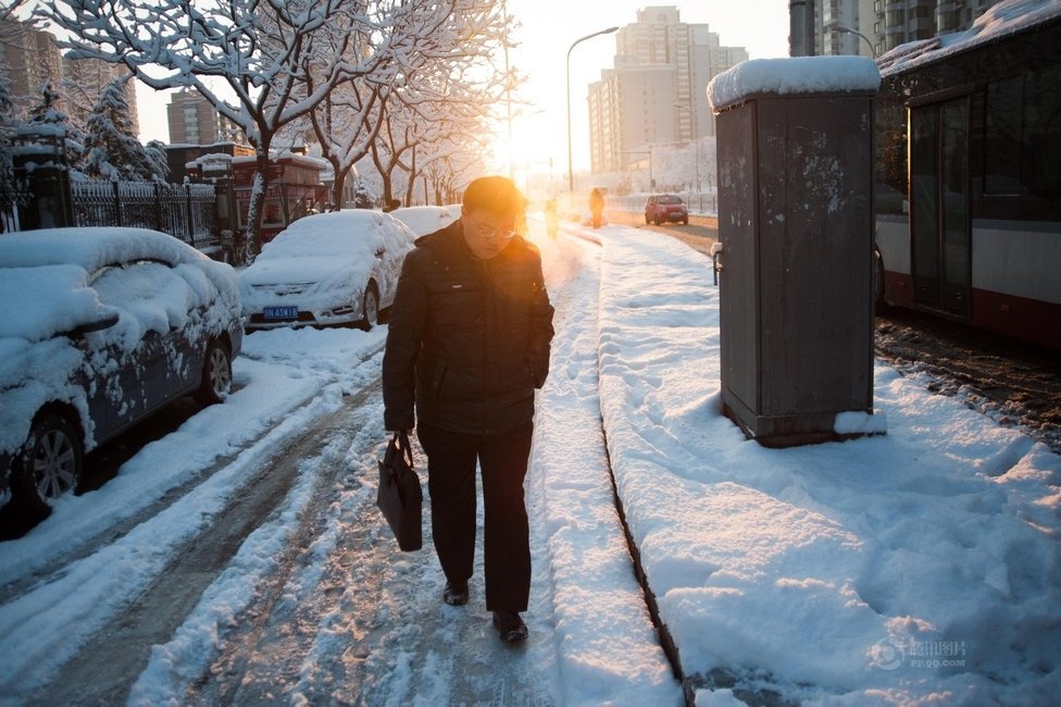 2013年3月20日早晨，降雪后的北京，全城銀裝素裹