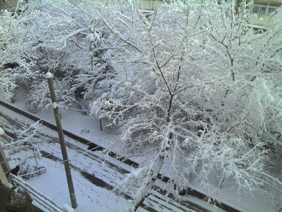 2013年3月20日早晨，降雪后的北京，全城銀裝素裹