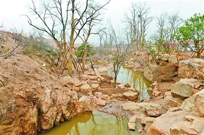 青島世園會(huì)將奉上百園盛宴 中華園國際園中西合璧