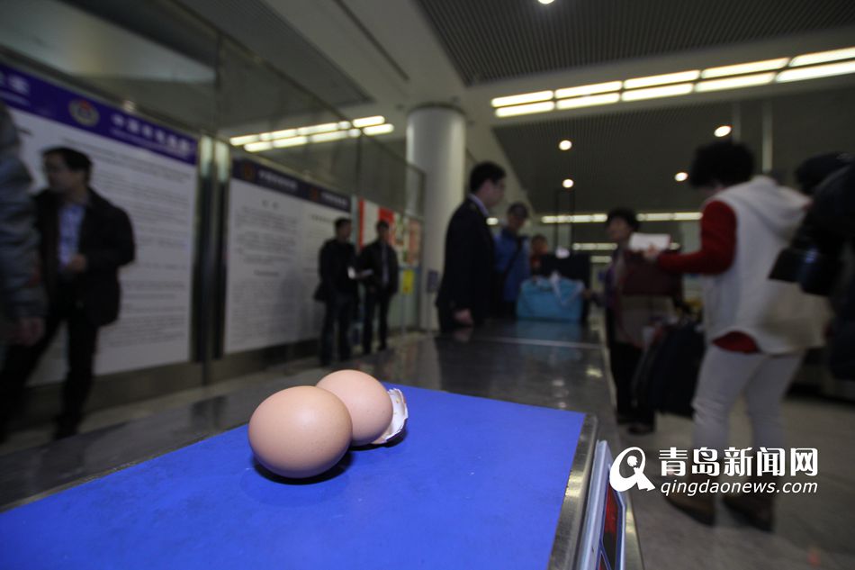 高清：實(shí)拍機(jī)場檢疫犬 輕嗅就能查出違禁物品