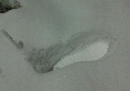 北京發罕見暴雪藍色預警 40小時雨雪降水超歷史